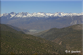 Blick vom Sierra Viewpoint
